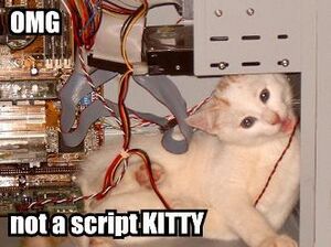 ScriptKITTY.jpg